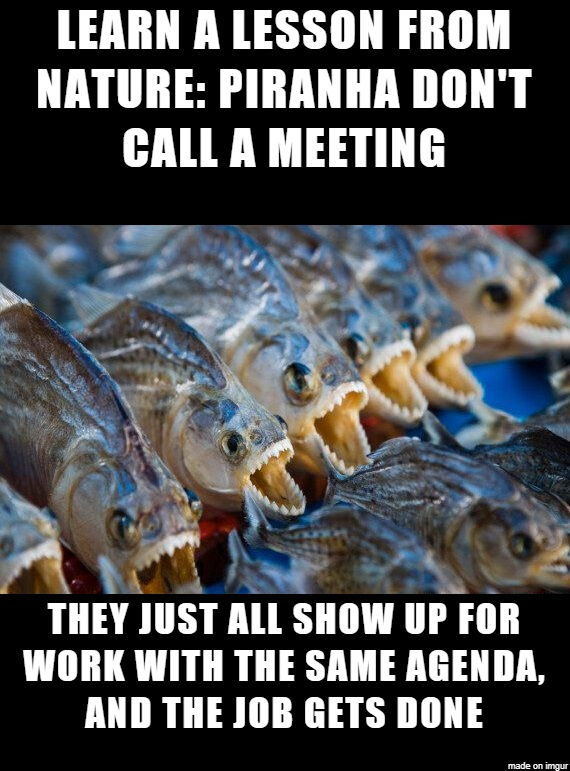 They just show up for work with the same agenda and the job gets done